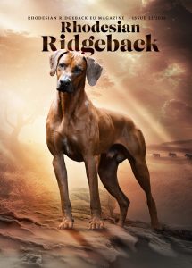 AD_RREU_cover22